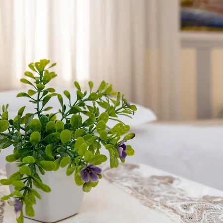 فندق مبيت وإفطار Accademia 2*
